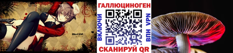 Псилоцибиновые грибы Magic Shrooms  Холм 